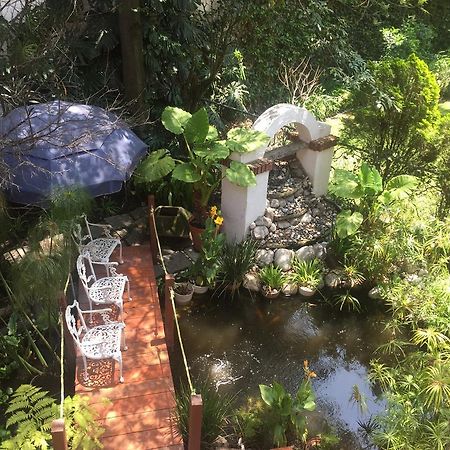 Villas Sol Y Luna Coyoacan Mexikóváros Kültér fotó