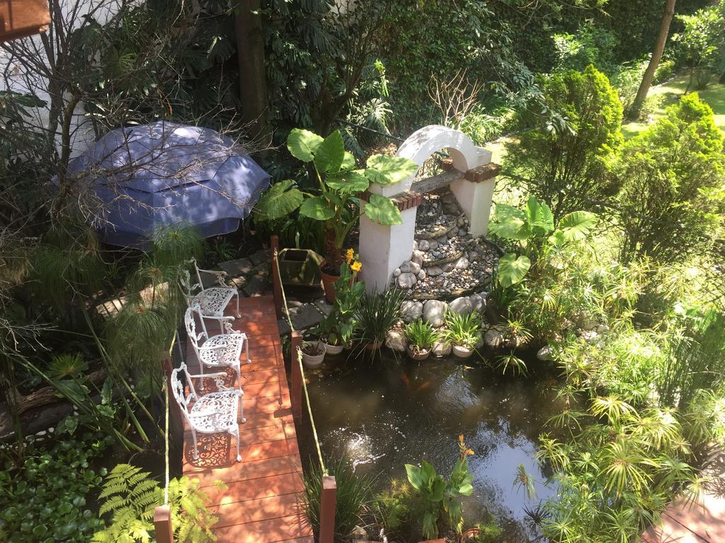 Villas Sol Y Luna Coyoacan Mexikóváros Kültér fotó